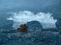 Zeller See im Winter 13.jpg