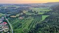 Ballonfahrt über Teile des Flachgaus Juli 2024 11.jpg
