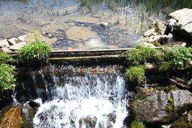 Hundsfeldsee obertauern 31548 2016-08-04.jpg