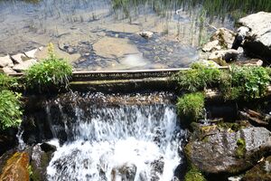 Hundsfeldsee obertauern 31548 2016-08-04.jpg