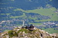 Vorschaubild der Version vom 18:08, 11. Jul. 2010