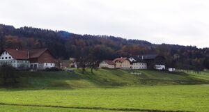 Hofergut in Leithen Kopie.jpg