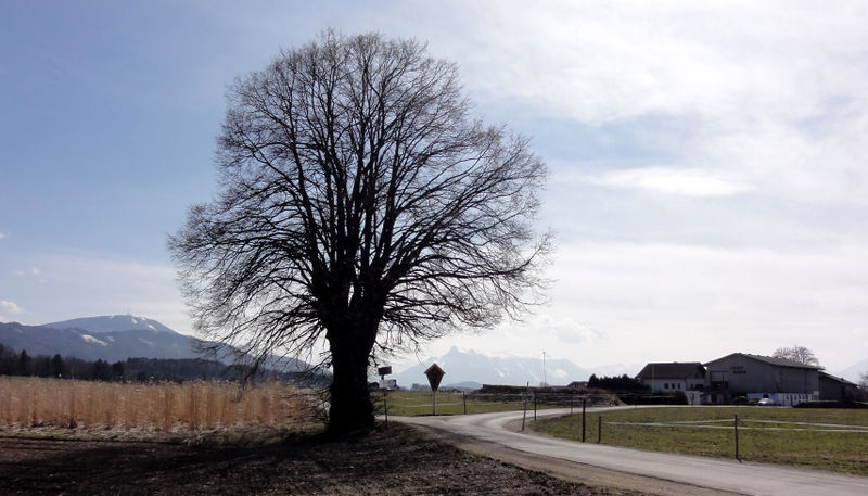 Datei:Marschallnblick in den Süden.jpg