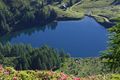 Wirpitschsee, untere-weißpriach 29631 2016-07-10.jpg
