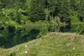Wirpitschsee, unterer 29555 2016-07-10.jpg
