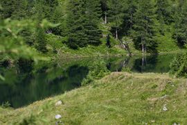 Wirpitschsee, unterer 29555 2016-07-10.jpg