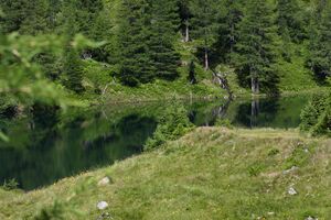 Wirpitschsee, unterer 29555 2016-07-10.jpg