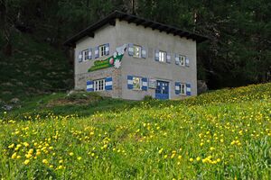 Wunderwelt Glocknerwiese.jpg