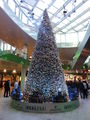 Christbaum im Euro Park.JPG