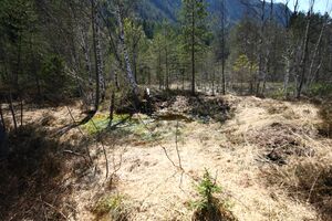 Mandlinger moor 69715 2018-04-18.jpg