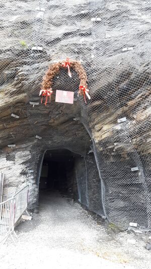 Gasteiner Höhenweg 20210709 18.jpg