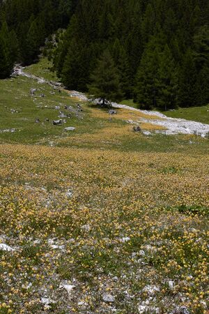Lantschfeldtal-0115-2022-07-14.jpg