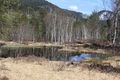 Mandlinger moor 69783 2018-04-18.jpg