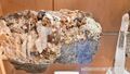 Nationalpark Informationsstelle Zimmererhütte Mineraliensammlung 11.jpg