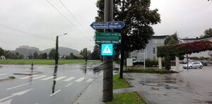 DSC06826.JPG
