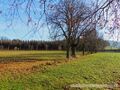 Graefin Ueberacker Weg Neumarkt am Wallersee.jpg