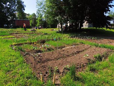 Interkultureller Garten Neumarkt am Wallersee 03.jpg