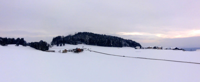 Datei:Moosbauer und Hof.jpg