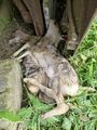 Vorschaubild der Version vom 14:44, 10. Jun. 2013