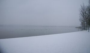 Wallerseeblick R0010608.jpg