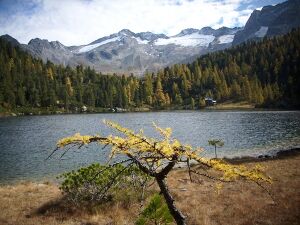 Reedsee Herbststimmung.jpg