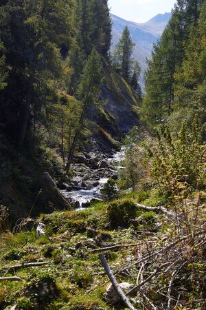 Riedingtal-0176-2021-09-14.jpg