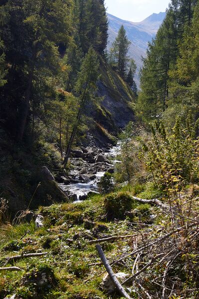 Datei:Riedingtal-0176-2021-09-14.jpg