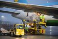 Uzbekistan Airlines brachte medizinisches Material 09.jpg