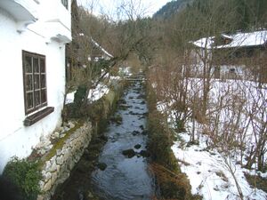 Bach im Brunnwinkl, er kommt vom Krotensee.jpg
