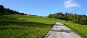 Scheierlweg Verlauf.jpg