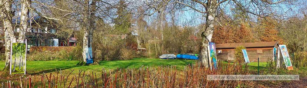 2024 11 17 Henndorfer Kulturkreis Bilder Wallersee Ostbucht 06.jpg