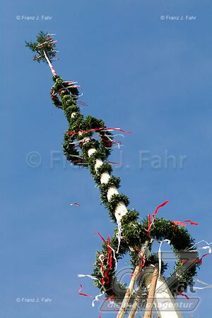 20060501-4442 CC7.jpg