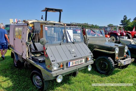 2025 08 09 Oldtimertreffen Oldtimerfreunde Neumarkt 23.jpg