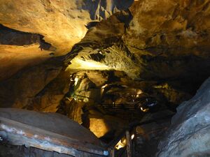Lamprechtshöhle 9.jpg