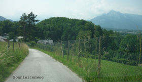 Sonnleitenweg.jpg