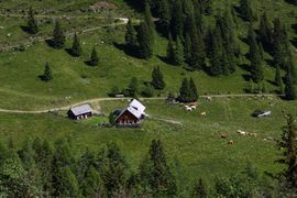 Toni Mörtl Hütte 29727 2016-07-10.jpg