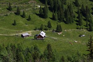 Toni Mörtl Hütte 29727 2016-07-10.jpg
