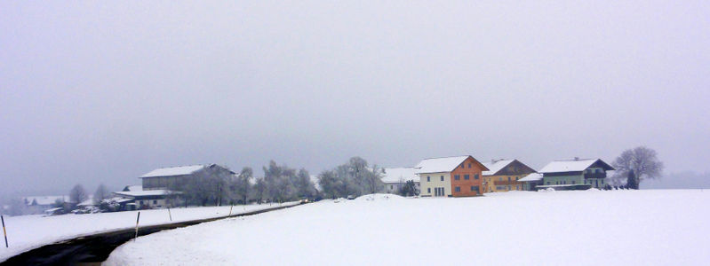 Datei:Bruckmoos.jpg