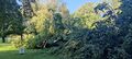 Das Wetter im Sommer 2023 Unwetter August Freibad Leopoldkron 03.jpg