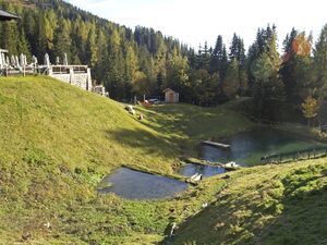 Mühlbach Arthurhaus Fischteich.jpg
