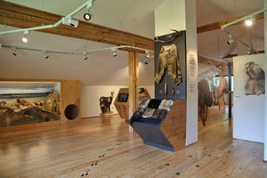Nockalmstraße Wilde Nockberge 02.jpg