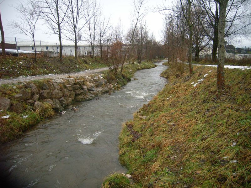 Datei:Alterbach, renaturiert.jpg