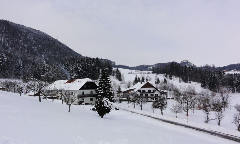 Datei:Aschaugut in Koppl.jpg