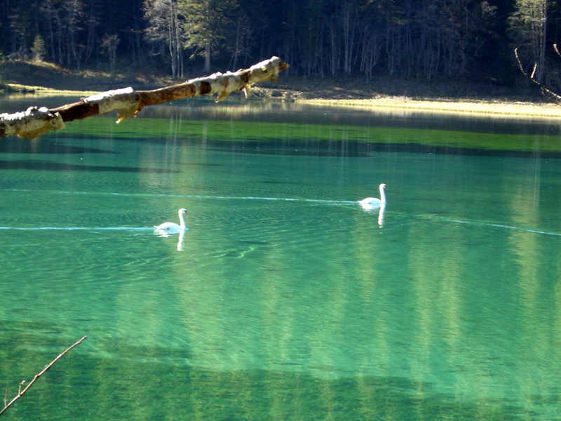 Datei:Kleinarl-Jägersee-13.png
