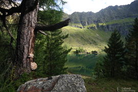 Unterelandschitz0060.jpg