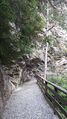Gasteiner Höhenweg 20210709 7.jpg