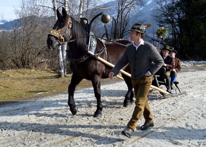 Datei:Goaßlschlitten.jpg