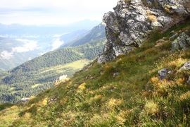 Seekarschneid obertauern 31244 2016-08-04.jpg