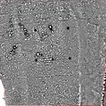 Archäologische Grabungen in Pfongau Magnetometerrospektion.JPG