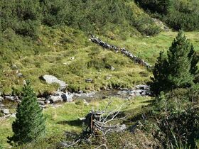 Dürnbach-Oberlauf im Bereich der Steiner Hinteralm.